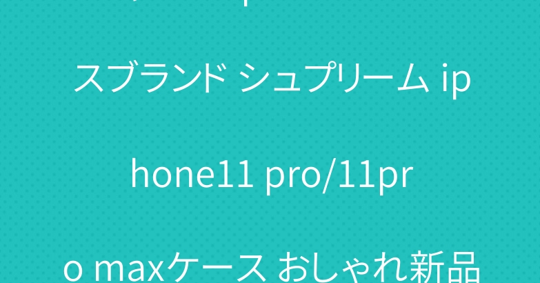 シャネル iphone11ケースブランド シュプリーム iphone11 pro/11pro maxケース おしゃれ新品