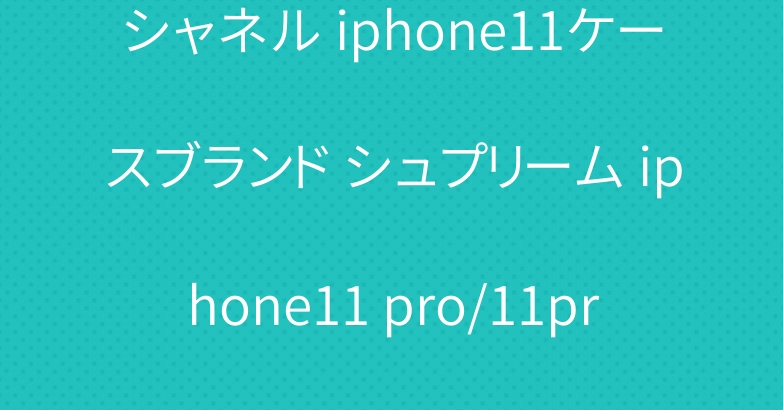 シャネル iphone11ケースブランド シュプリーム iphone11 pro/11pro maxケース 人気