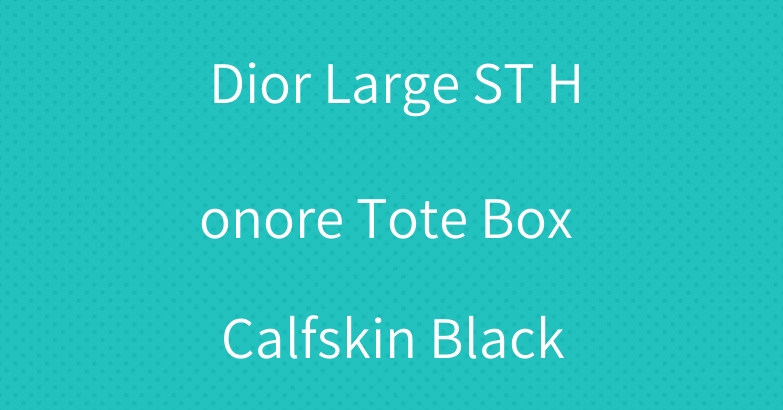 Dior Large ST Honore Tote Box Calfskin Black