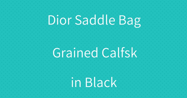 Dior Saddle Bag Grained Calfskin Black