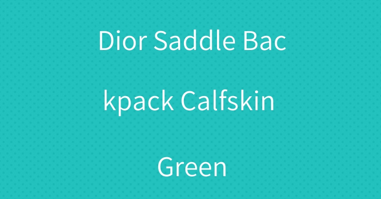 Dior Saddle Backpack Calfskin Green