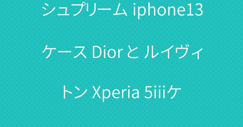 シュプリーム iphone13ケース Dior と ルイヴィトン Xperia 5iiiケース