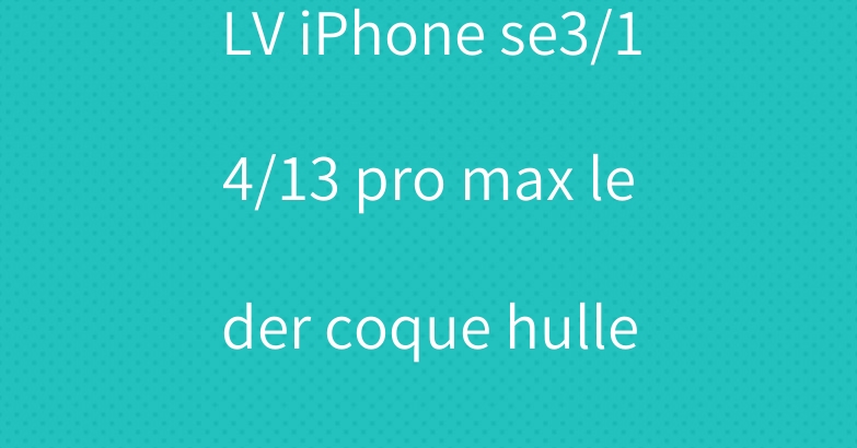 LV iPhone se3/14/13 pro max leder coque hulle