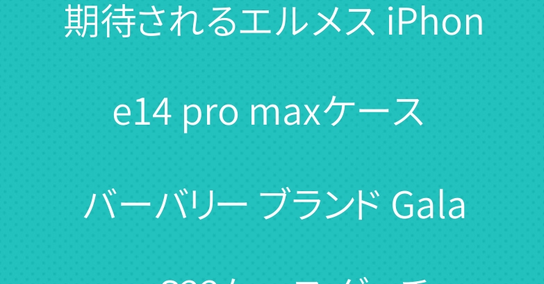 期待されるエルメス iPhone14 pro maxケース バーバリー ブランド Galaxy S22ケース グッチ