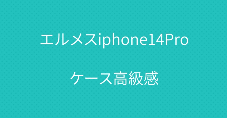 エルメスiphone14Proケース高級感