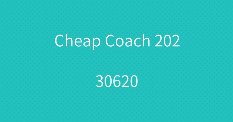 Cheap Coach 20230620