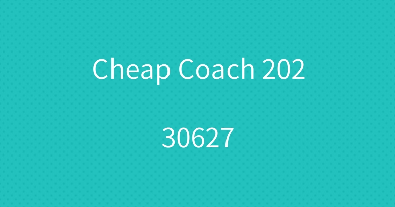 Cheap Coach 20230627