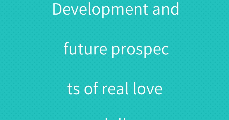 Development and future prospects of real love dolls