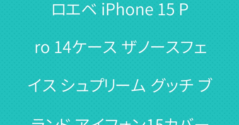 ロエベ iPhone 15 Pro 14ケース ザノースフェイス シュプリーム グッチ ブランド アイフォン15カバー